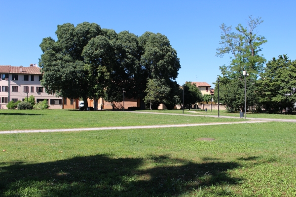 Villa Marazzi - giardino 3